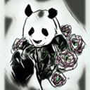 pandaperson51 avatar