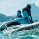 pandoras-box0 avatar