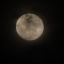 pandorasmidnight avatar