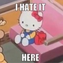 pandouniverse avatar