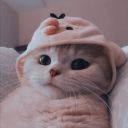 panela-depressao avatar