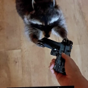 panicatanything-blog avatar