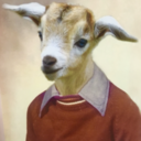 panicatthedisgoat avatar