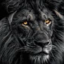 papacharlie209 avatar