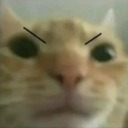 papitasfritasthings avatar