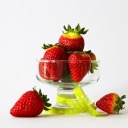 papyruseverywhere avatar