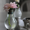 paradissurmesure avatar