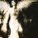 paragon-pearl avatar