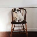 paralelevrendenblog avatar