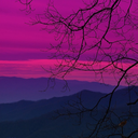 paramoursuggestion avatar