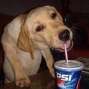 parkers-parking-lot avatar