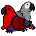 parrot-parent avatar