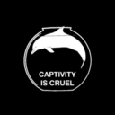 partylikeapineapple avatar