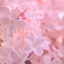 pastel-aesthestics avatar