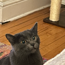 pastel-drowning16 avatar