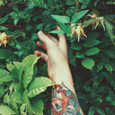 pasteldeplatano avatar