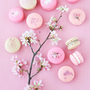 pastels-and-macarons avatar