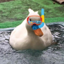 pastelwolvesx avatar