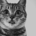 patronunsekreteri avatar