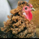 paulafercastr-blog avatar