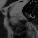 pauseinrewind avatar