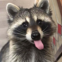 pawsomeraccoon avatar