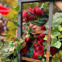 peacefulofskye avatar