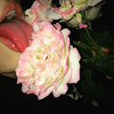 peachy-peas-peas avatar