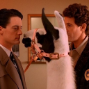 peachywonderlandsstuff avatar