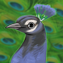 peacock-at-your-door avatar