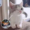 peanutbuttermoony avatar