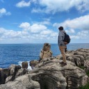 pedroafonsosilva avatar