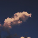 peepeepoopooosblog avatar