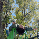 pencils-n-pancakes avatar