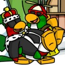 penguinsaremypassion avatar