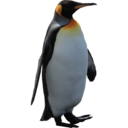 penguinspice avatar