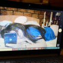 pensamientos-y-weas avatar