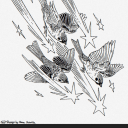 pensieriameta avatar