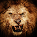 pensierisfoghi avatar