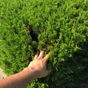 pensivevirtues101-blog avatar