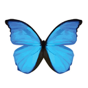 peoplesbutterfly avatar