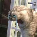 peppermintanxietea avatar