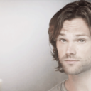 perditioninthegarden avatar