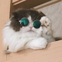 peregrineskye avatar