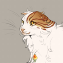 perennialwarfare avatar