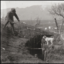 perfectandtrue avatar