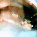 perfectintolb avatar