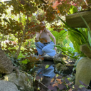 perfectionita avatar