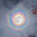 perfectlyjoyfulnut avatar