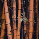 perfectoafdeansludge avatar